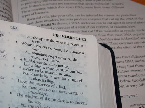 God Throughout Proverbs